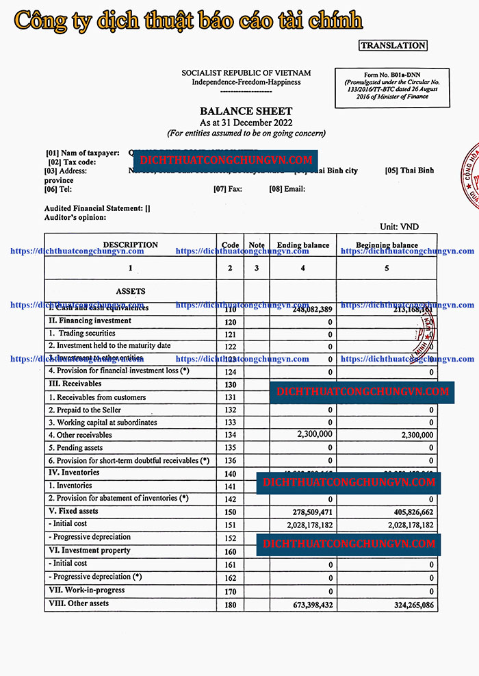 Công ty dịch thuật báo cáo tài chính